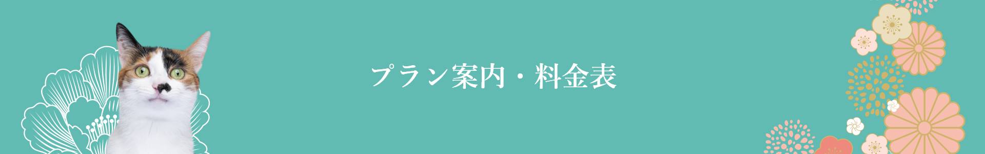 プラン案内・料金表