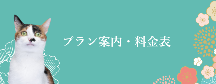 引き取りプランのご紹介